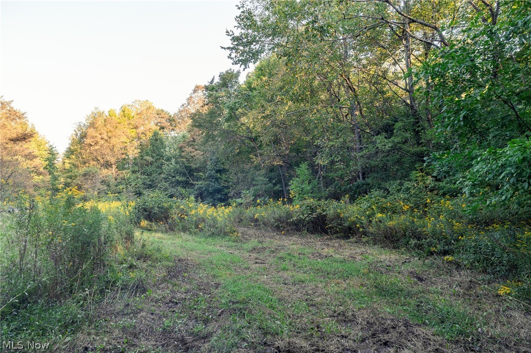 10772 Lawndell Road SW Navarre OH 44608