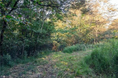 10772 Lawndell Road SW Navarre OH 44608