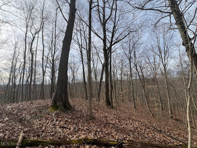 18344 Modoc Road Glouster OH 45732