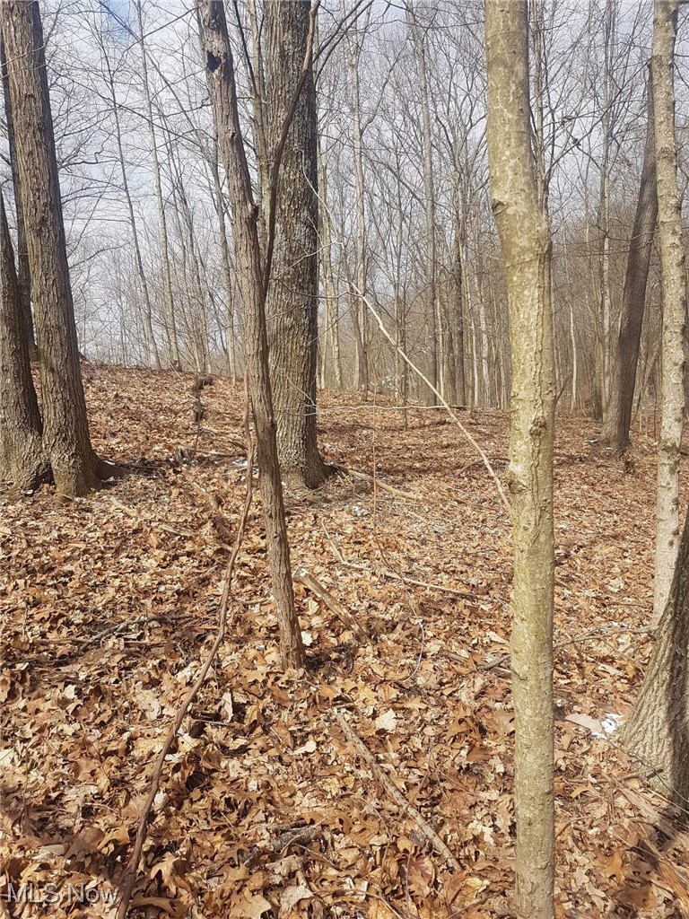 18344 Modoc Road Glouster OH 45732