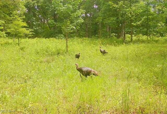 18344 Modoc Road Glouster OH 45732
