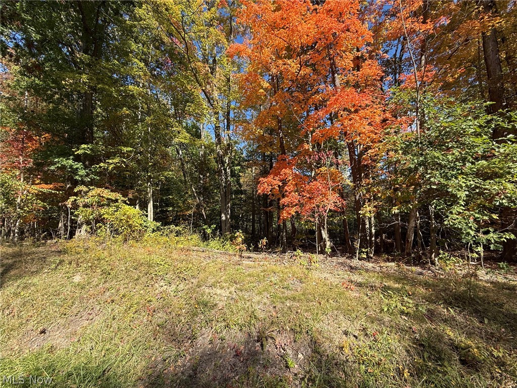 V/l 3 Trask Road Leroy OH 44086