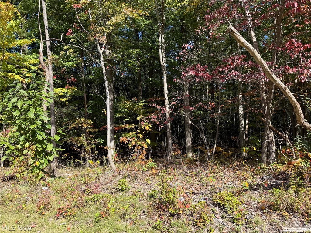 V/l 3 Trask Road Leroy OH 44086