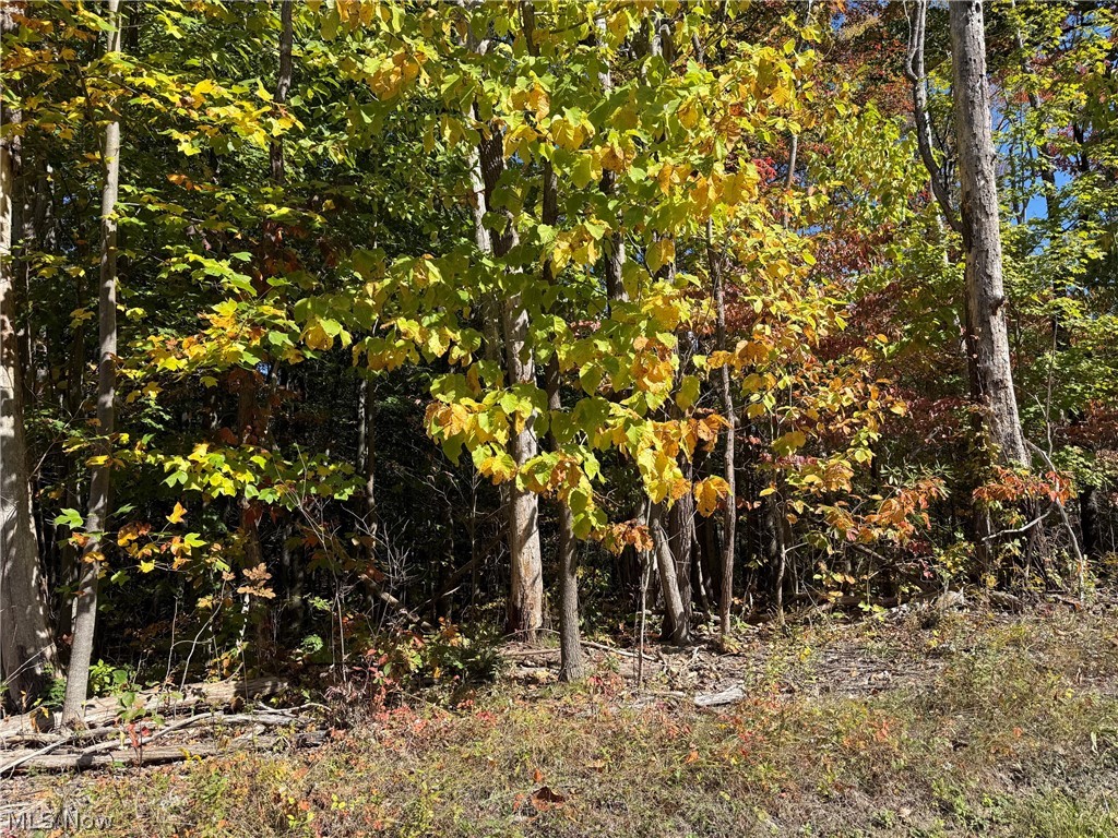 V/l 3 Trask Road Leroy OH 44086