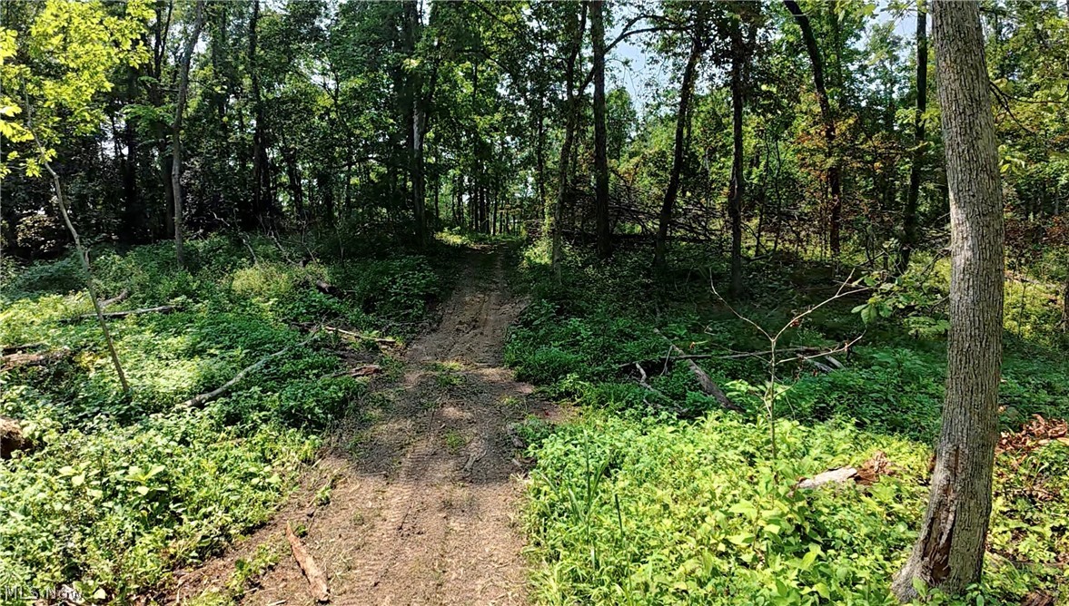 Shreve Road Shreve OH 44676