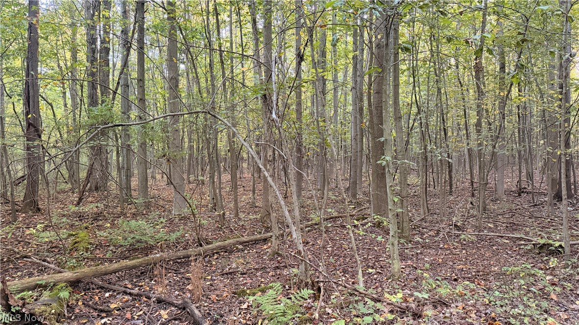 Munson Hill Road Ashtabula OH 44004