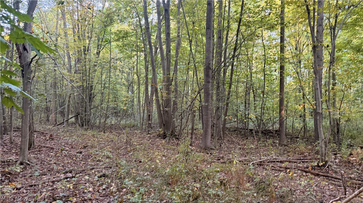Munson Hill Road Ashtabula OH 44004