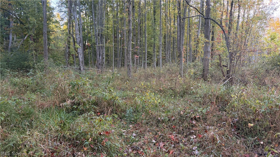 Munson Hill Road Ashtabula OH 44004