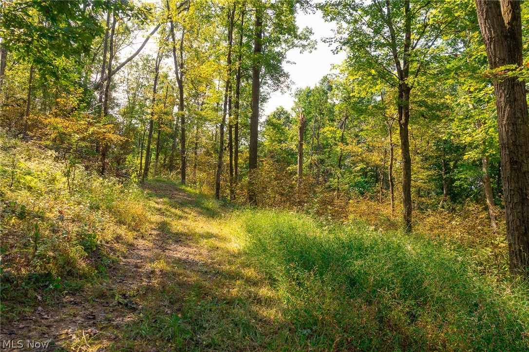 84134 Brewer Road Cadiz OH 43907