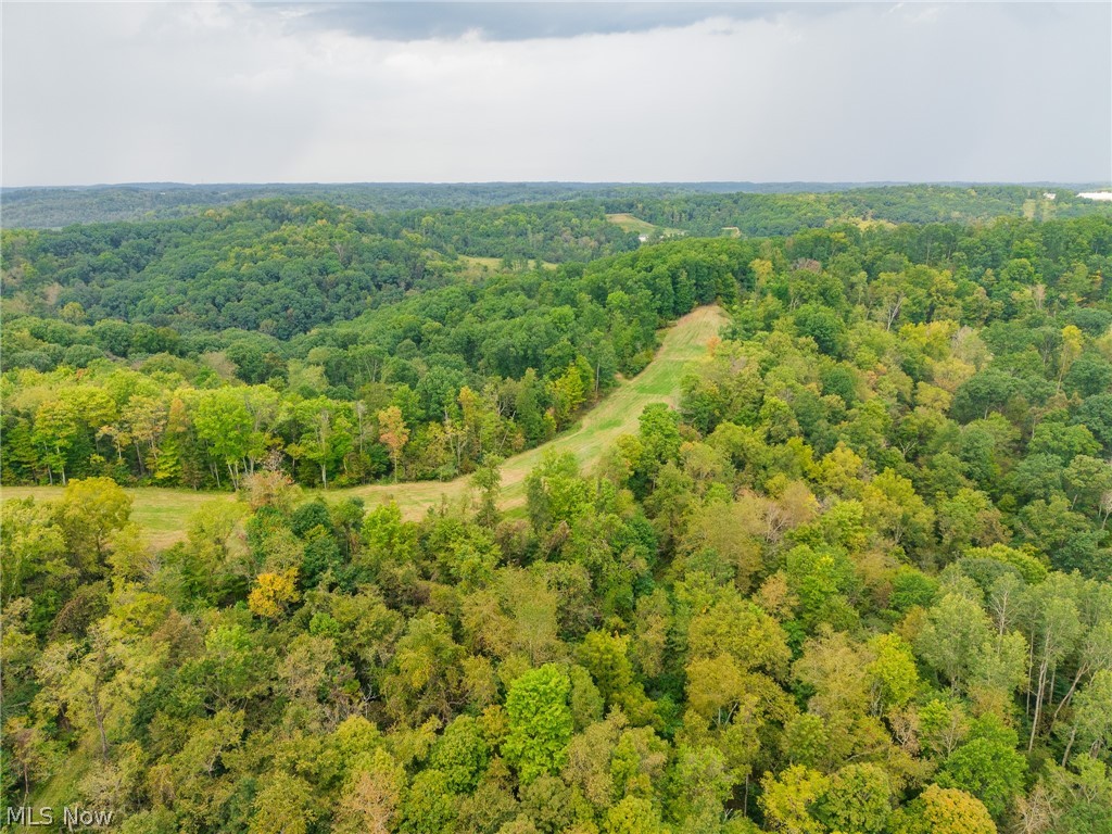 84134 Brewer Road Cadiz OH 43907