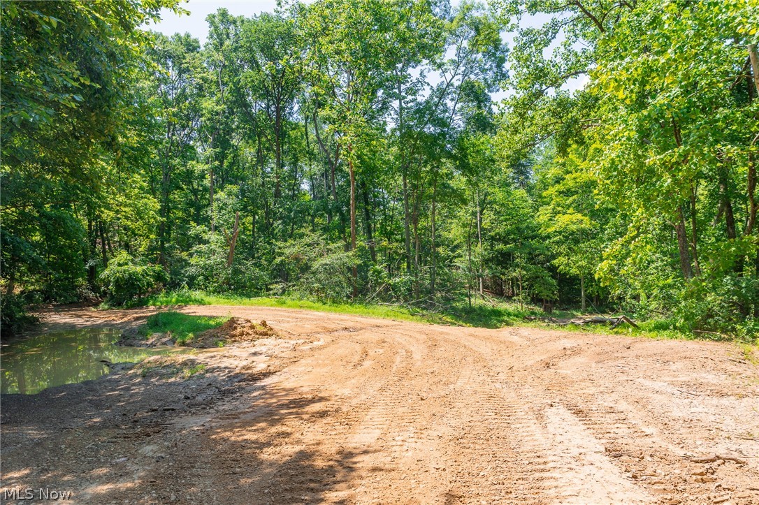 31800 Chestnut Ridge Road Danville OH 43050