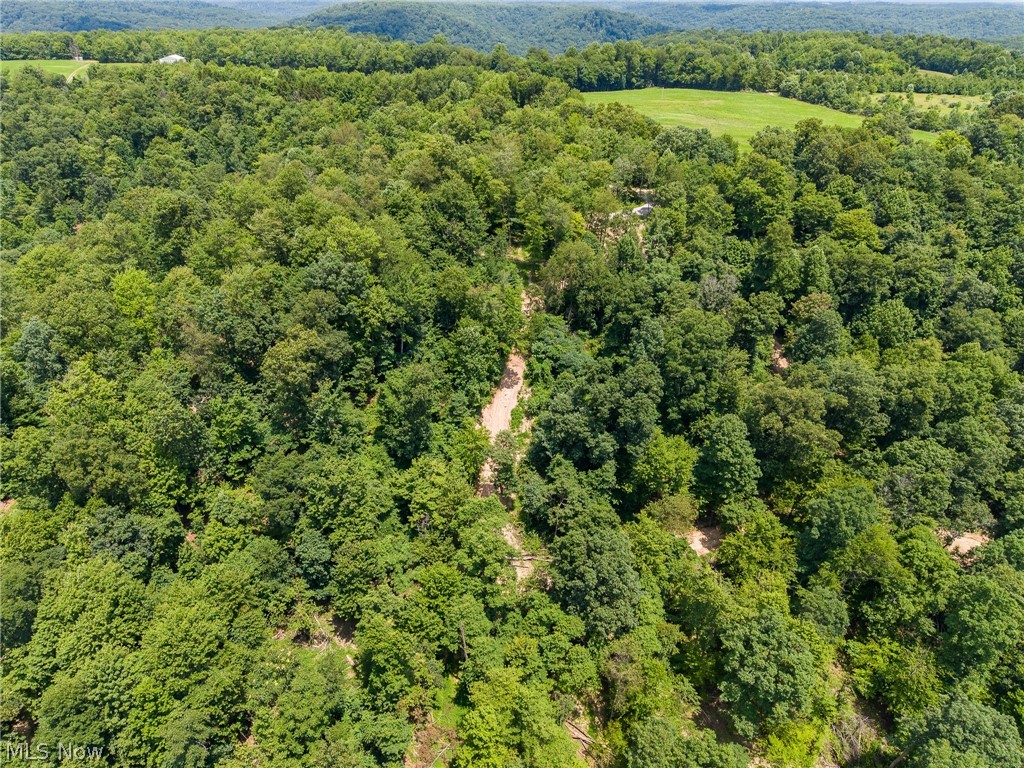 31800 Chestnut Ridge Road Danville OH 43050