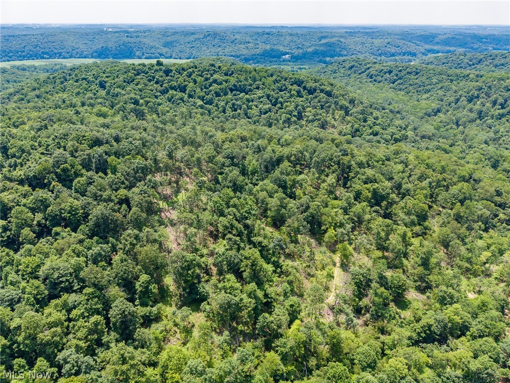 31800 Chestnut Ridge Road Danville OH 43050