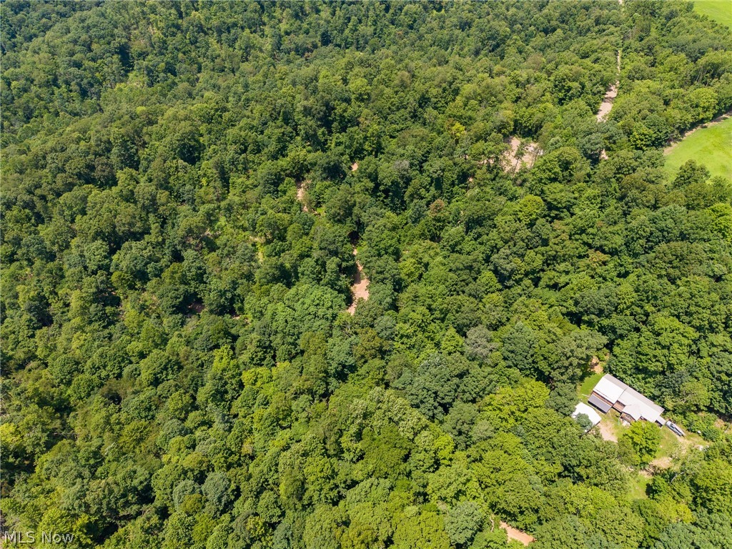 31800 Chestnut Ridge Road Danville OH 43050