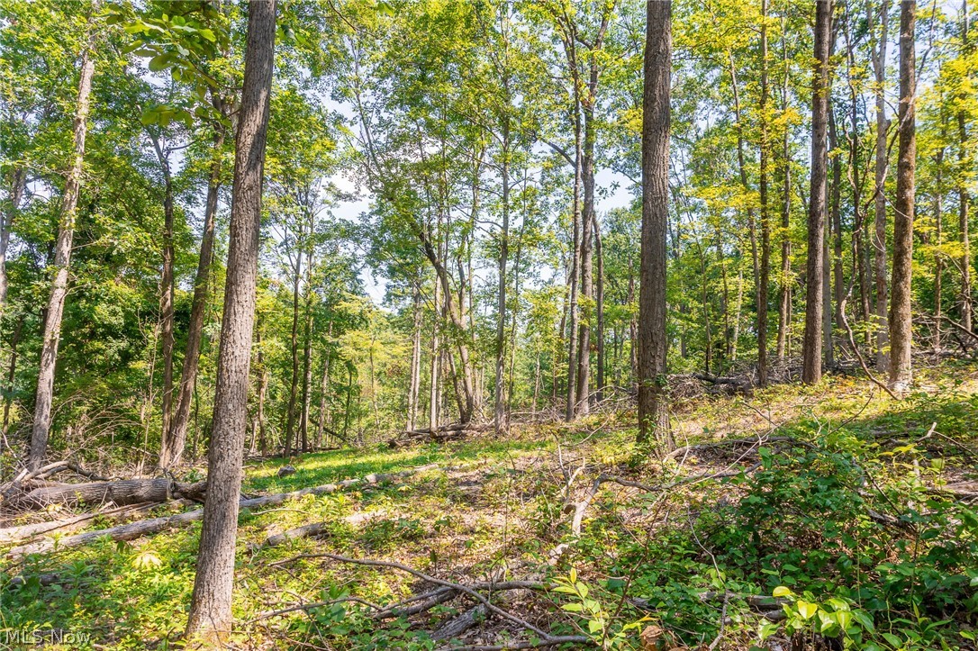 31800 Chestnut Ridge Road Danville OH 43050