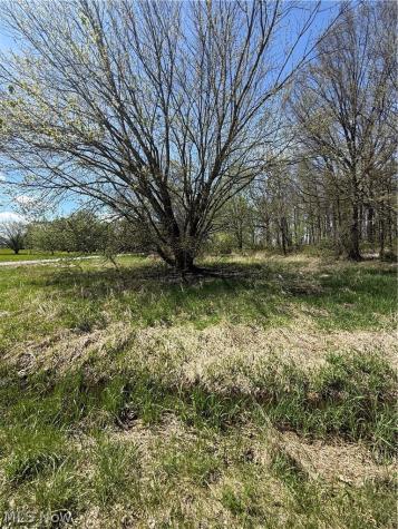 V/l Warwick Road Marshallville OH 44645