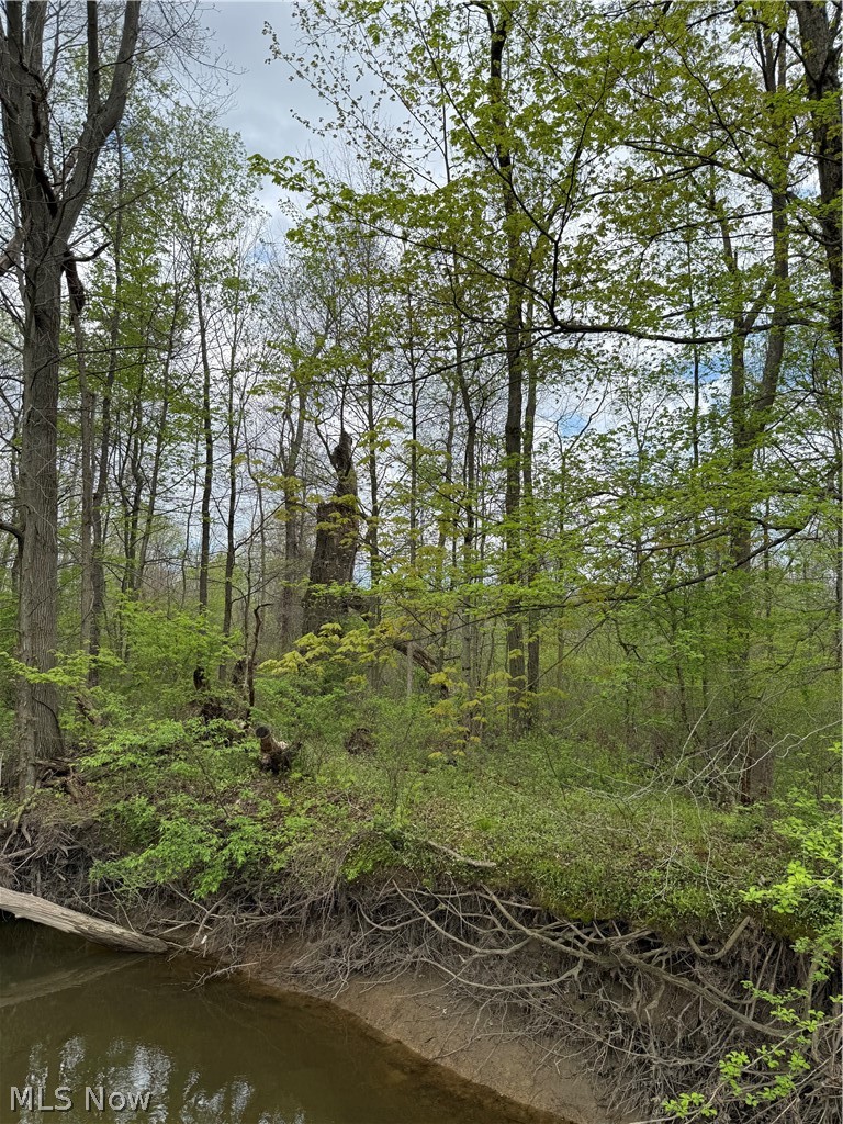 V/l Donley Road Middlefield OH 44062