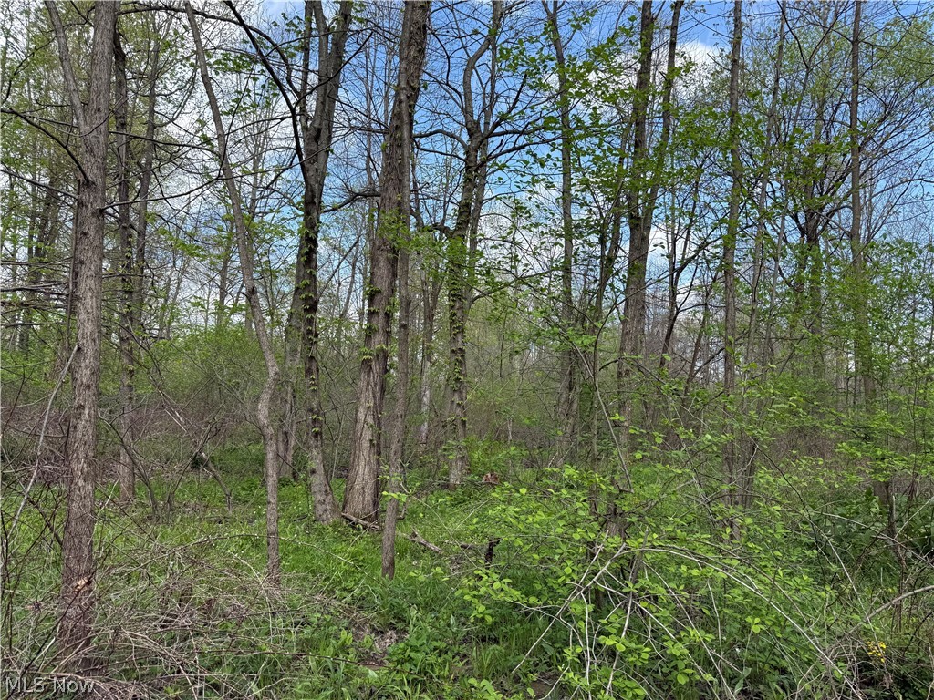 V/l Donley Road Middlefield OH 44062