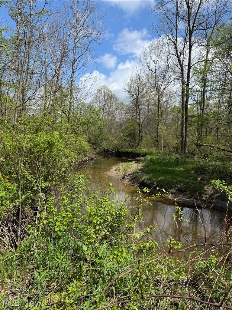V/l Donley Road Middlefield OH 44062