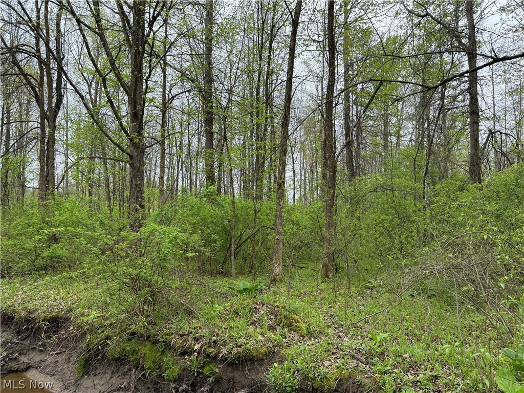 V/l Donley Road Middlefield OH 44062