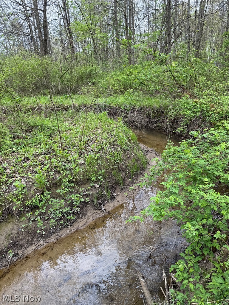 V/l Donley Road Middlefield OH 44062
