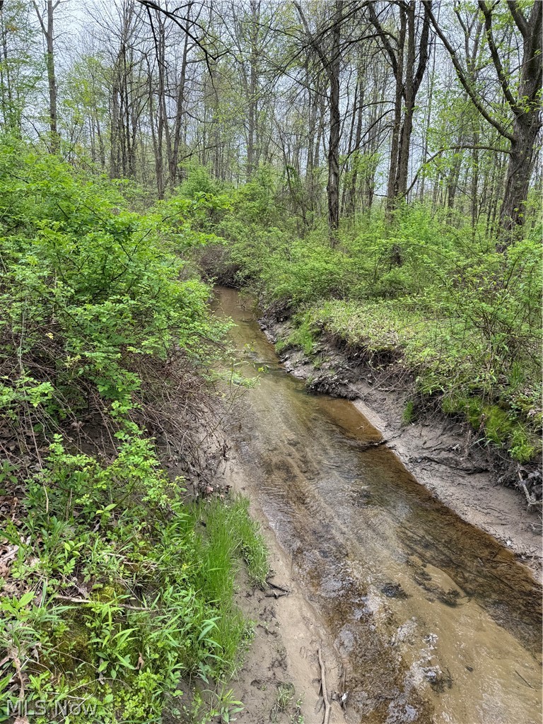 V/l Donley Road Middlefield OH 44062