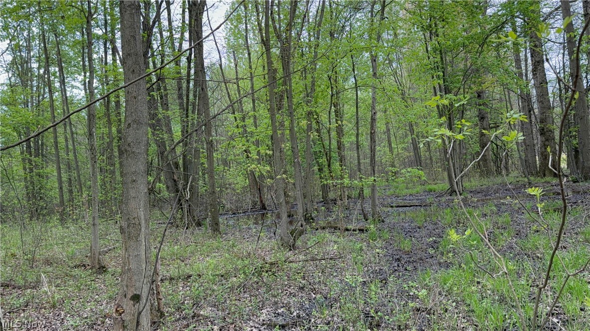 V/l Donley Road Middlefield OH 44062