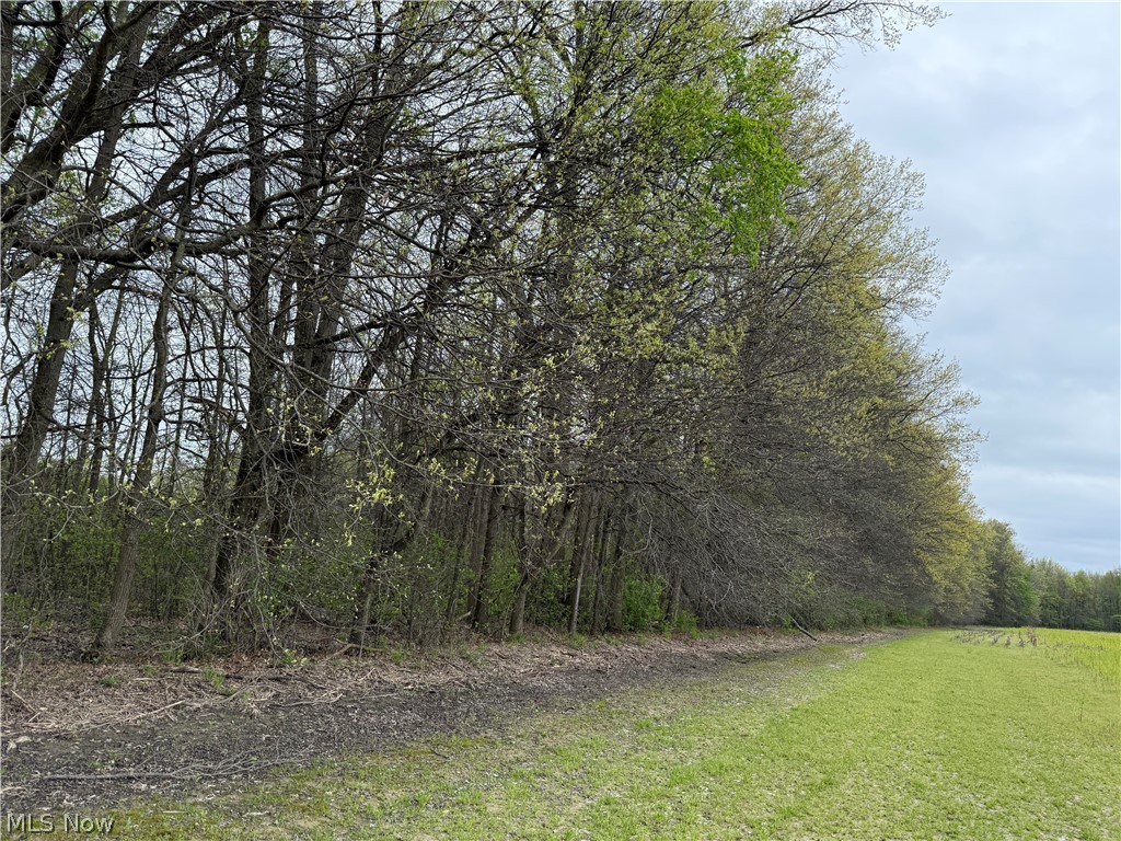 V/l Donley Road Middlefield OH 44062