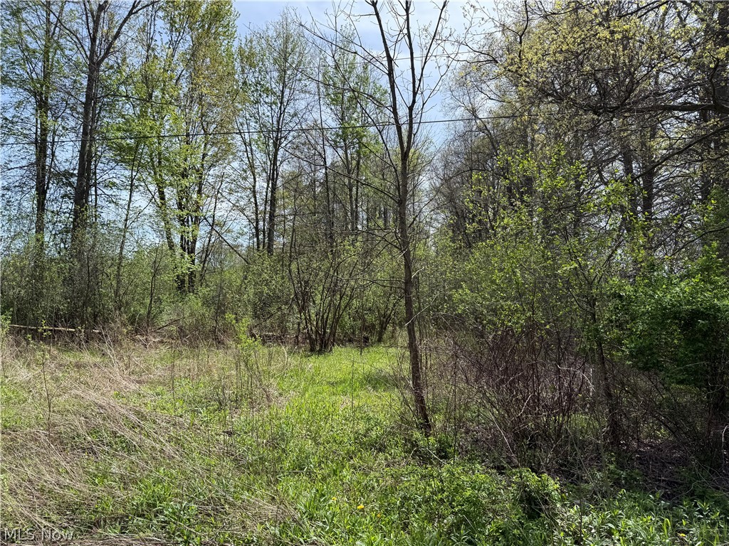 V/l Donley Road Middlefield OH 44062