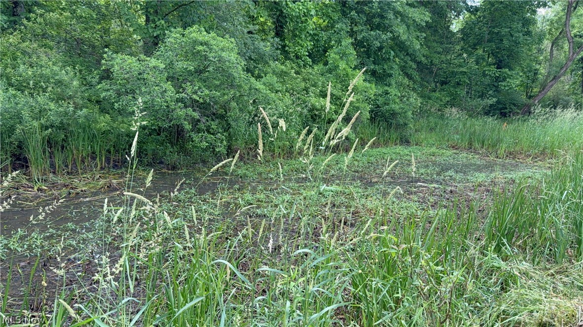 V/l Donley Road Middlefield OH 44062