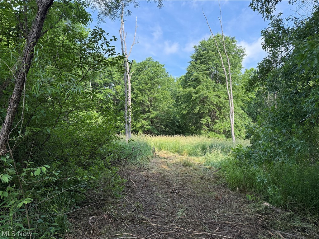 V/l Donley Road Middlefield OH 44062