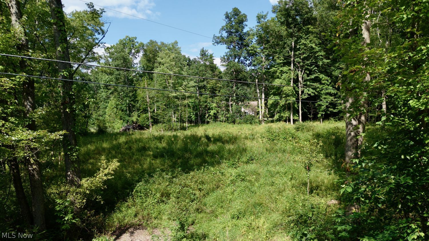 V/l Autumn Lane Akron OH 44333