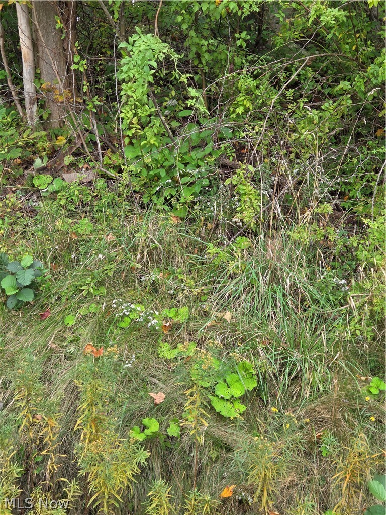 Gar Highway Montville OH 44064