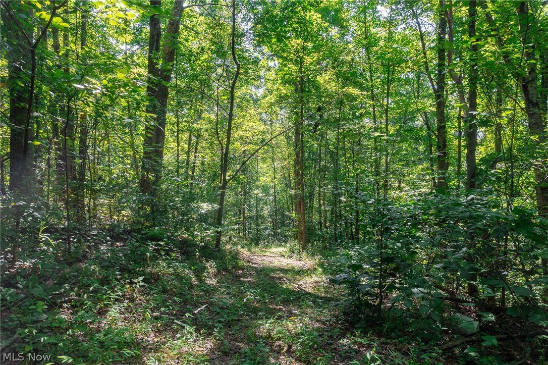 Kings Ridge Road Newcomerstown OH 43832