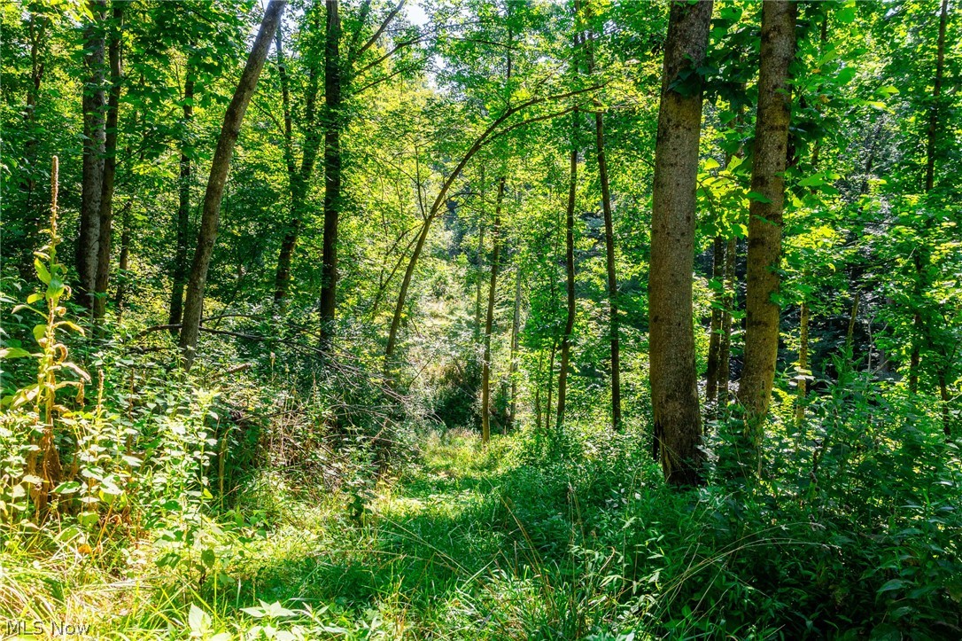 Kings Ridge Road Newcomerstown OH 43832