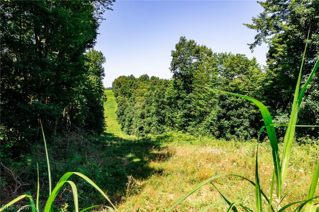 Kings Ridge Road Newcomerstown OH 43832