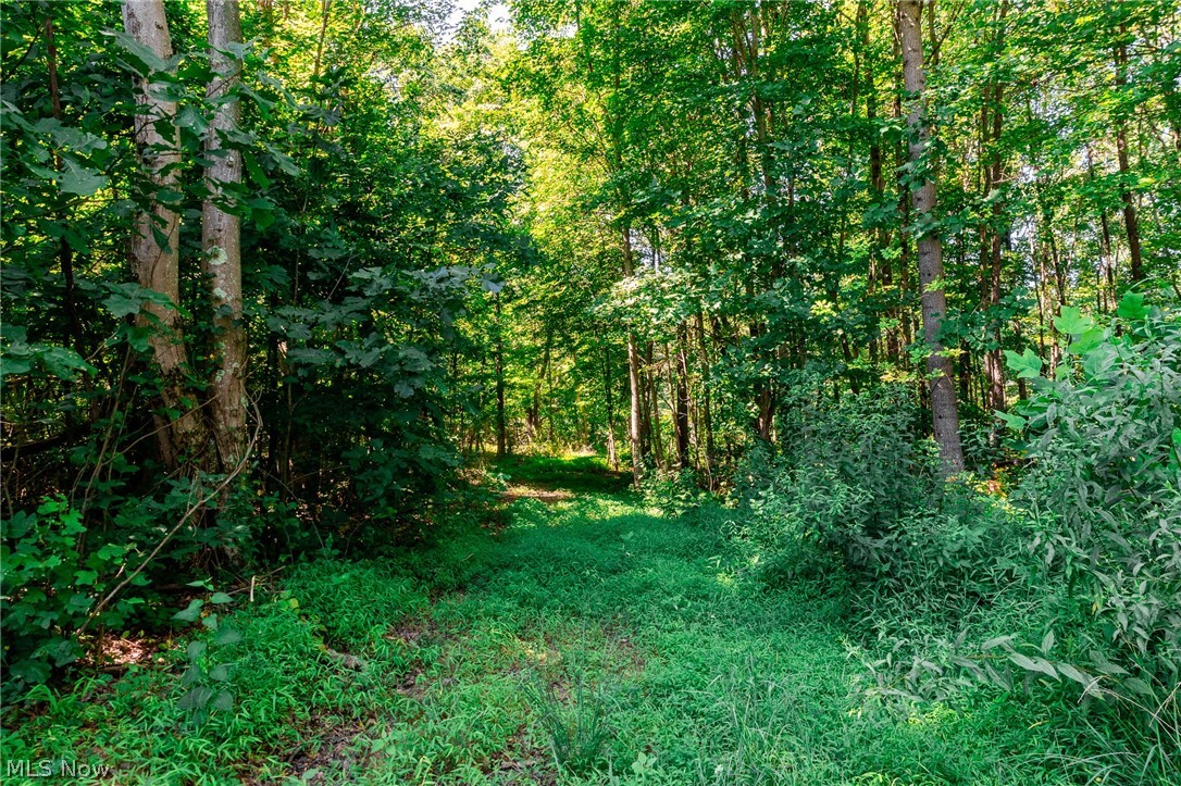 Kings Ridge Road Newcomerstown OH 43832