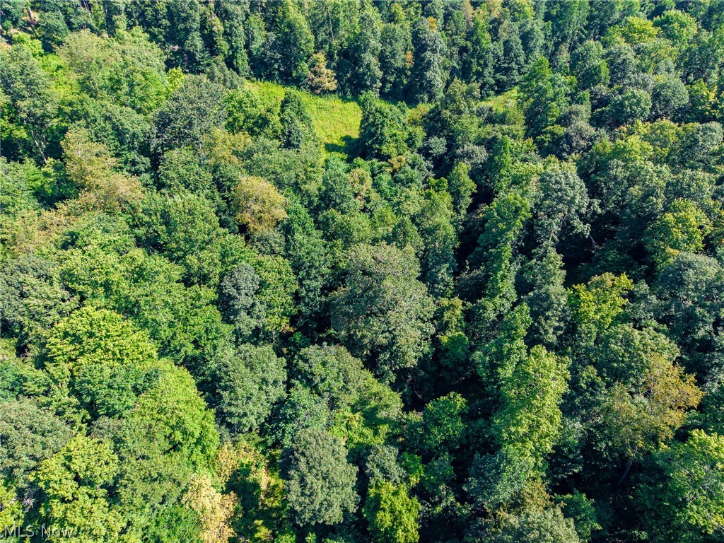 Kings Ridge Road Newcomerstown OH 43832