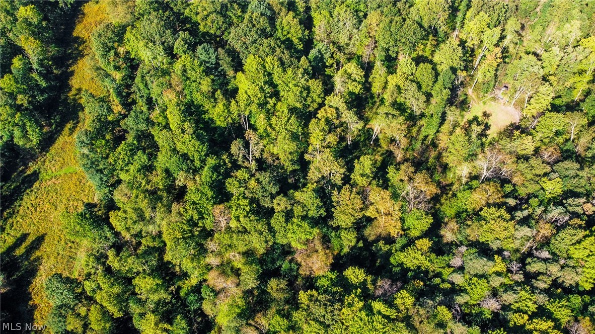 Kings Ridge Road Newcomerstown OH 43832