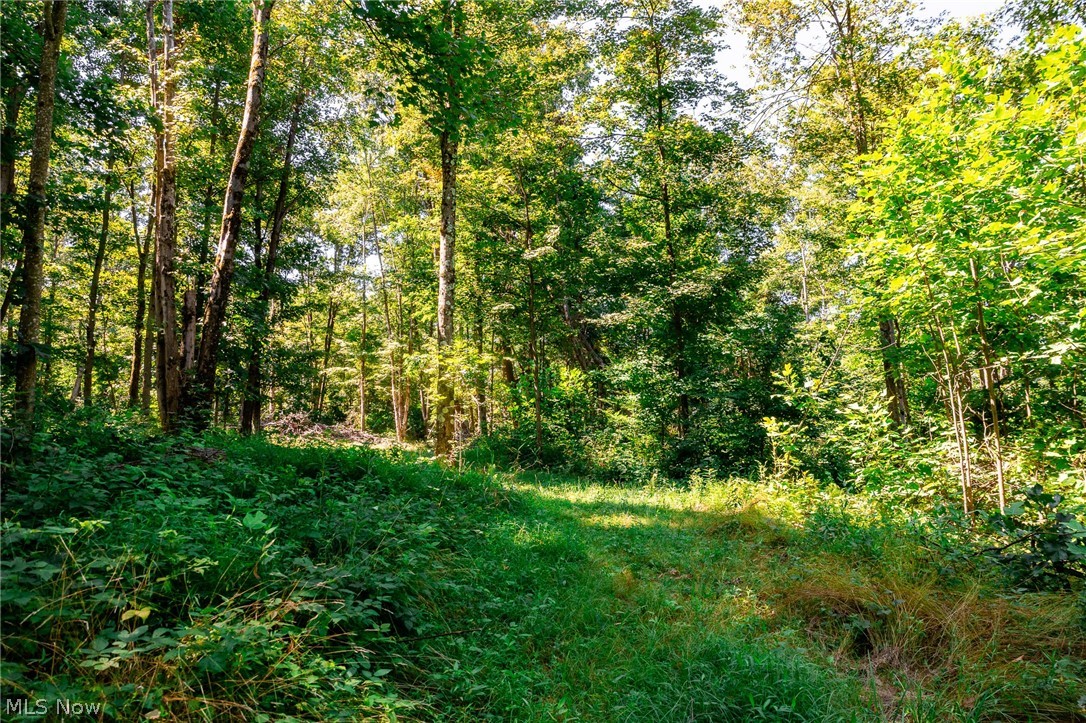 Kings Ridge Road Newcomerstown OH 43832