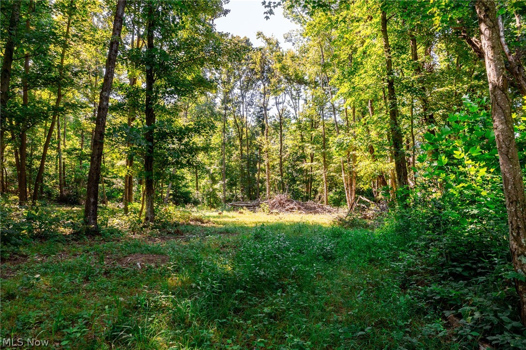 Kings Ridge Road Newcomerstown OH 43832