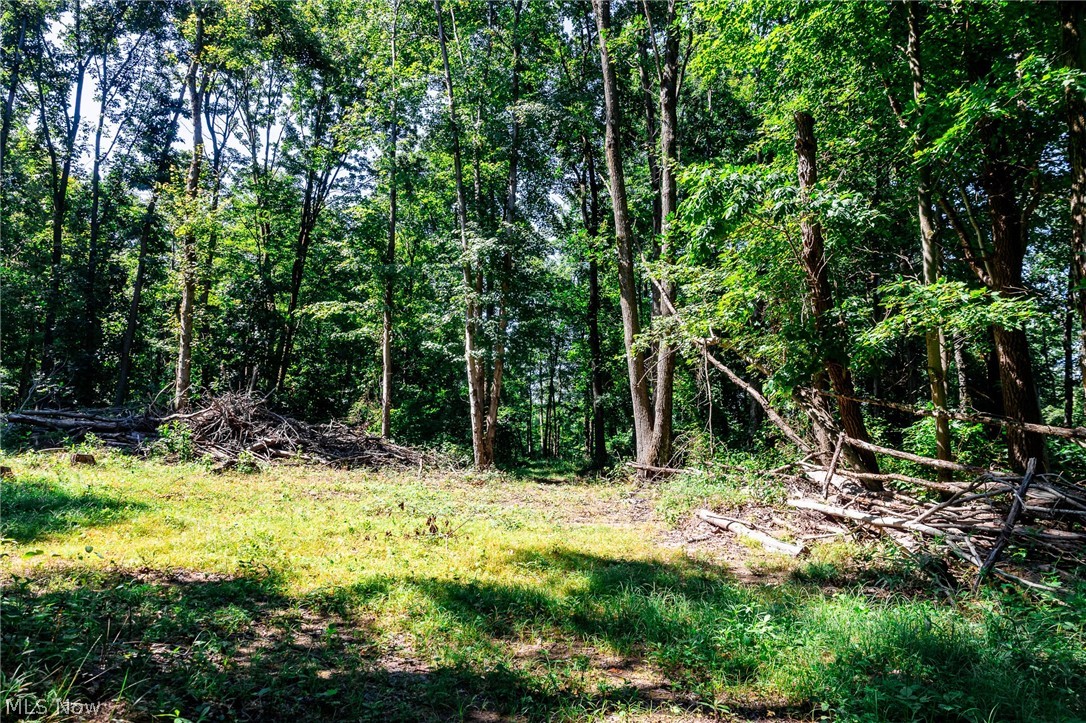 Kings Ridge Road Newcomerstown OH 43832