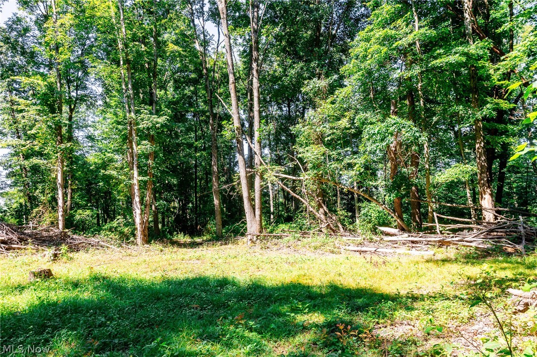 Kings Ridge Road Newcomerstown OH 43832
