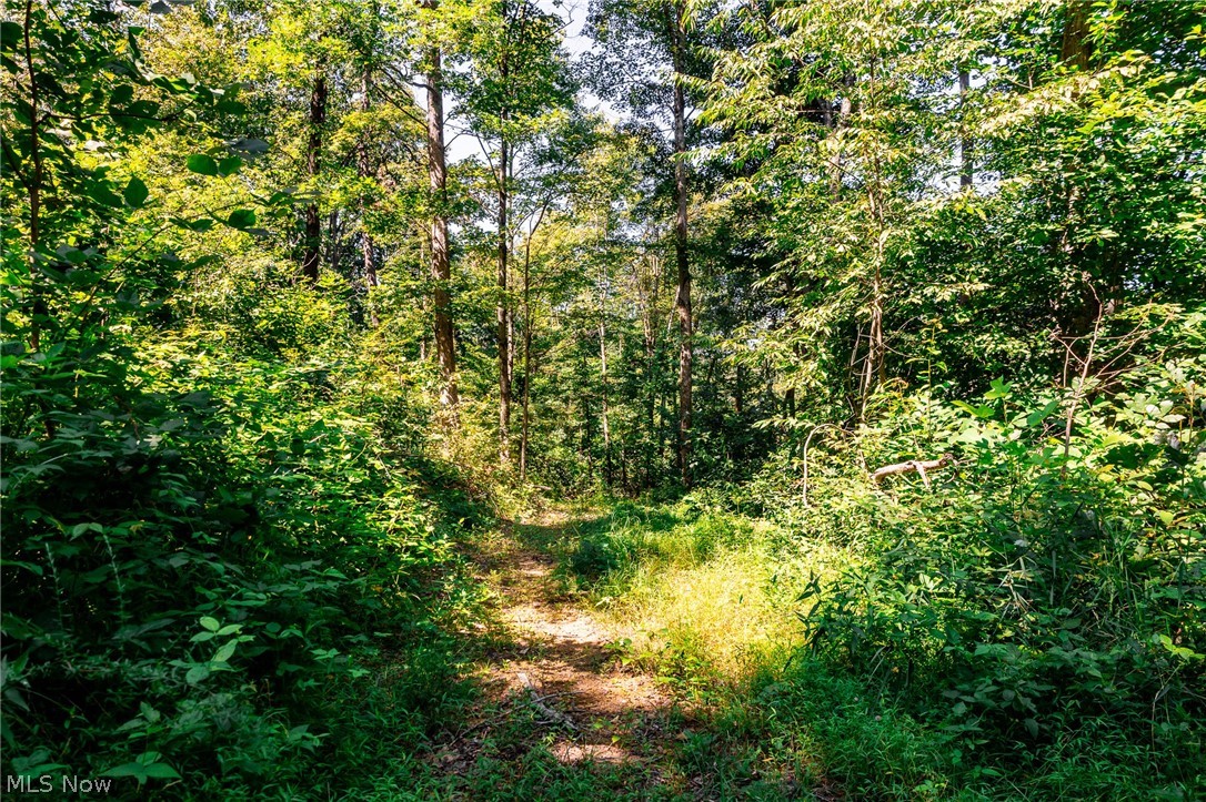 Kings Ridge Road Newcomerstown OH 43832