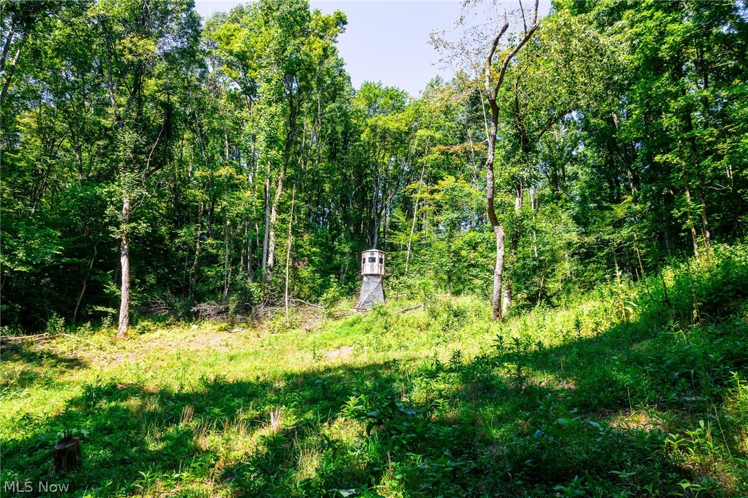 Kings Ridge Road Newcomerstown OH 43832