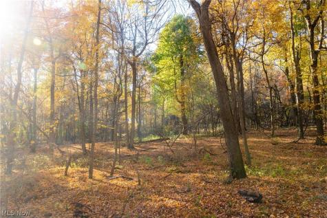 Smith Road SW Navarre OH 44662