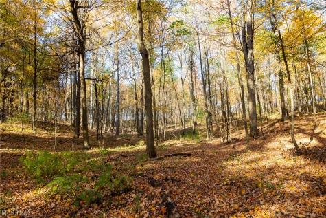 Smith Road SW Navarre OH 44662