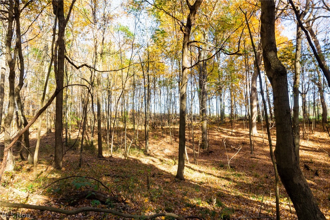 Smith Road SW Navarre OH 44662