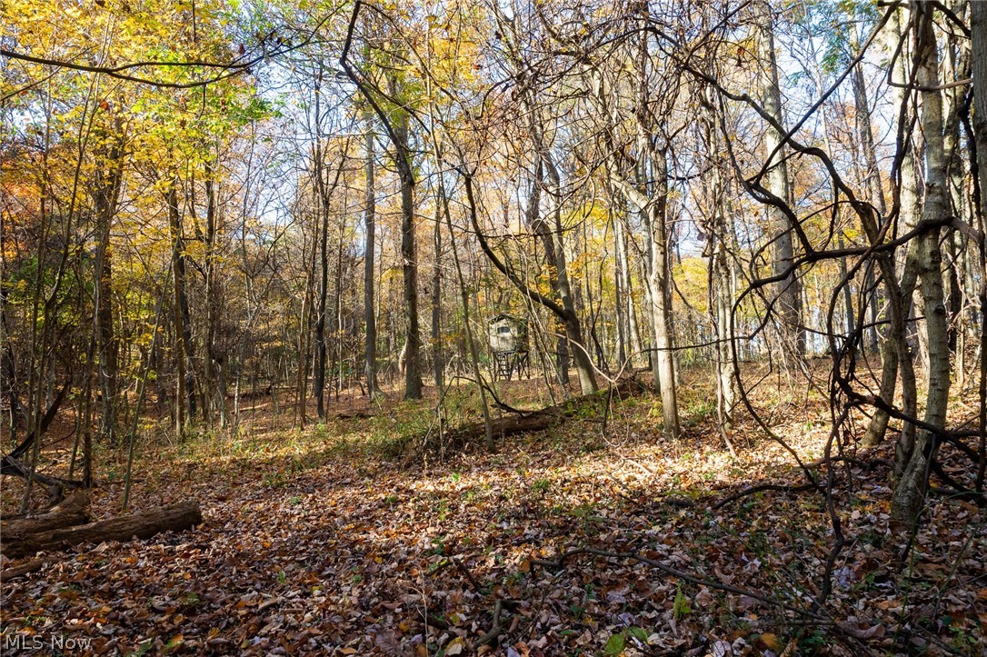 Smith Road SW Navarre OH 44662