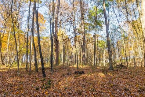 Smith Road SW Navarre OH 44662